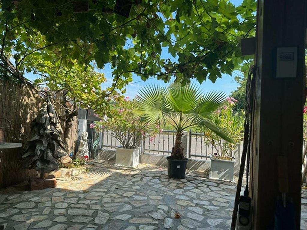 Ferienwohnung Insel Reichenau Zewnętrze zdjęcie